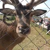 miahart76