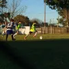 milton.livolsil5