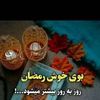 user31316131824731