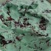 minty.doshhwxq