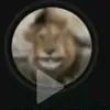 user17834091187237
