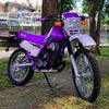 elluis643