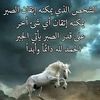 ramzi.iyad8