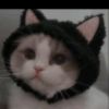 cocodimples1.5