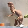 alexandera.bam