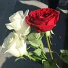 nada_noura3