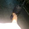 daliana.felix1