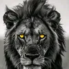 mohammed.mehar5