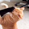 meowza_wowzaa