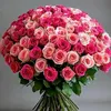 samia.golnour
