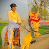 rai.ali.haider.kh1