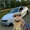 spiedr77