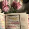 shorouk.ashraf011