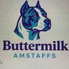 buttermilk.amstaf