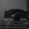 malek.ahmed7064