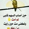 user8663515513913