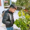 thnht7953