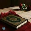 oum.rayan125