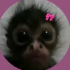 matu2795