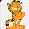 gato77308