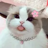 lora_thecat64789