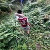 dinh.manh.giap