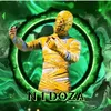 _n1_doza_