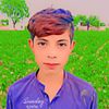 raja.raja4987