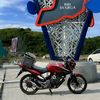tigertoyozz1