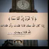 user229225954749