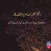 houriya.ansari1