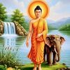 ruwanruwanchamara6