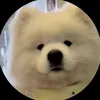 habbrry