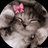 pretty_lioness110612