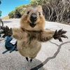 whattheflipisgoinonguys