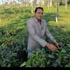 md.noor5697