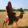 mahamat.alkouni