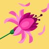 hasnaa.hasnaa704
