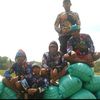 wongdeso4445