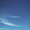 shaimazerr6