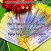 chamet_agency1