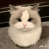 qnhune_0812