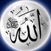 username._alhamdullilah