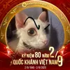 việt 🐍