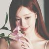 divina_498