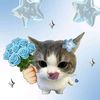 nery_4904