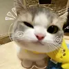 kiu.ng4726