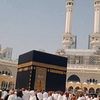 apdo_ali0