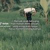 sucipmaulana0