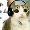 meowlfanpage